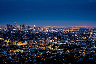 aerial photography of buildings during nightime