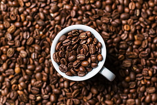 round white and black ceramic plate, photography, coffee, cup, depth of field