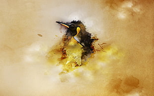 black and yellow bird illustration HD wallpaper