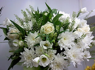 white flowers bouquet