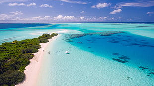 aerial photography of beach