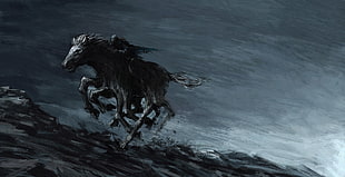 person riding black horse digital wallpaper HD wallpaper