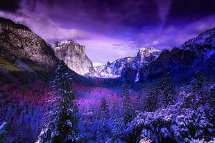 aerial photography of mountains near plants