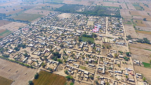 green trees, bird's eye view, village, farm, landscape