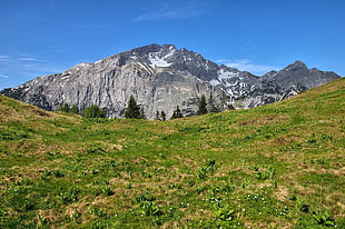 mountain covered by snow