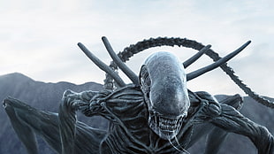 Alien movie scene HD wallpaper