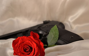 black semi-automatic pistol with red rose HD wallpaper