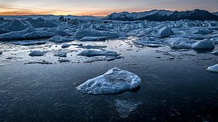 ice bergs on bodies of water, iceland