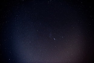 photo of starry night