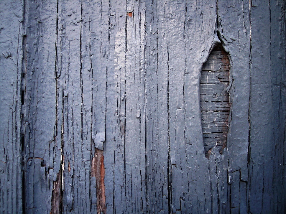 Gray and brown wooden board, wood, wooden surface, wall, texture HD ...