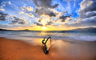 seashore, nature, landscape, sky, sea