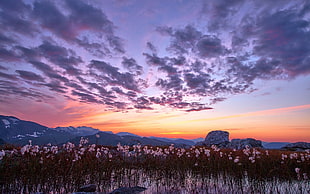 brown mountain during sunset