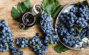blueberries, food, lunch HD wallpaper