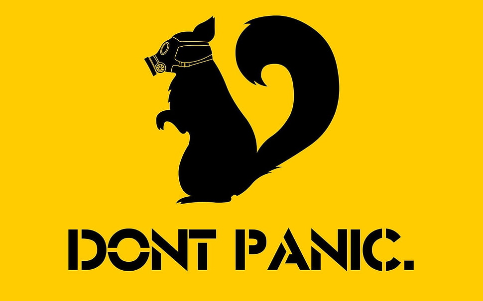 black squirrel with dont panic text overlay, yellow background, typography, gas masks, humor HD wallpaper