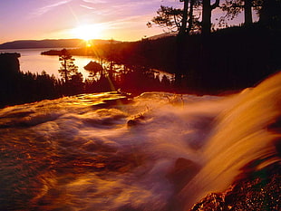 time lapse photography of flowing river with distance at forest during sunset HD wallpaper
