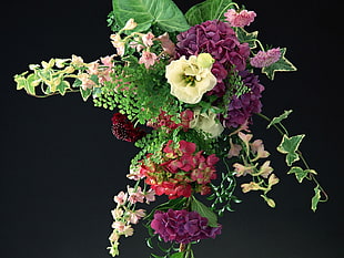 white Stephanotis flower with purple and Hydrangeas bouquet HD wallpaper