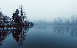 body of water surrounded by trees covered with fog HD wallpaper