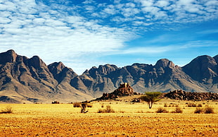 brown mountains, desert, wilderness, sky, mountains HD wallpaper