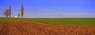 landscape photography of green plain land, heron, belgium