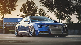 blue Audi A3 coupe, car, Audi, StanceNation, Stanceworks HD wallpaper