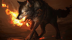 wolf illustration, fire, wolf HD wallpaper