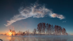 trees surrounded by body of water taken during sunset