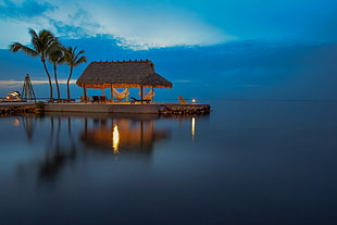 three palm trees, sea, tropical