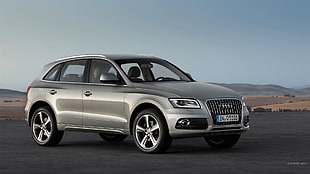 gray Audi Q-series SUV, Audi Q5, car, German cars, SUV