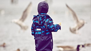 toddler wearing purple and blue coat with hood HD wallpaper