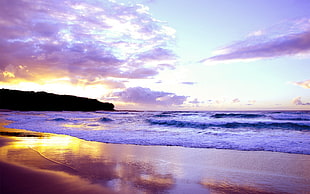 sunrise scenery of beach shore HD wallpaper