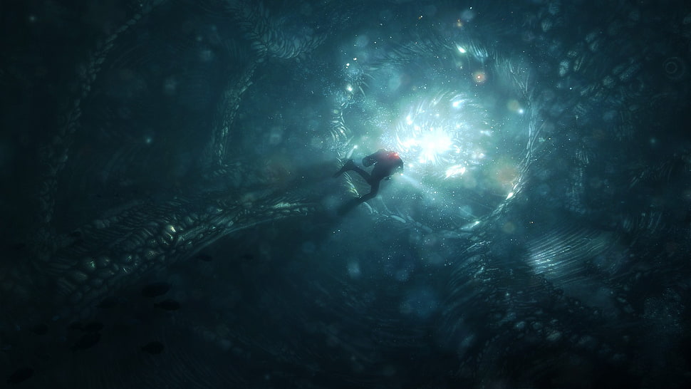 Photo of person diving in water, video games HD wallpaper | Wallpaper Flare