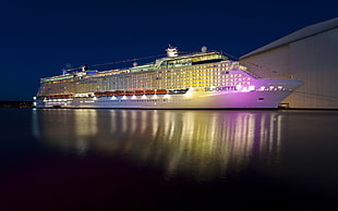 white Silhouette cruiser, sea, lights, ship, night HD wallpaper