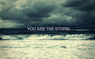 you are the storm digital wallpaper, typography, sea, clouds, horizon HD wallpaper
