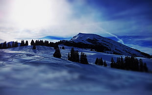 mountain cover of snow during daytime