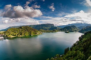 aerial view of lake surrounded by green mountains during daytime, lake bled HD wallpaper