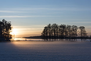 calm lake HD wallpaper