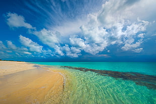 green beach, nature, landscape, tropical, beach