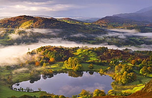 green trees, mist, lake, valley, hills