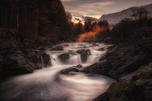 forest with a waterfalls and a view of mountain