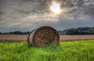 haystack on green grasses HD wallpaper