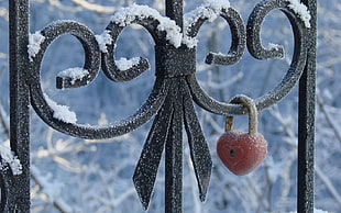 heart-shape red padlock hanged on black metal bar