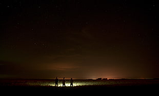 three person n shore line during nightime