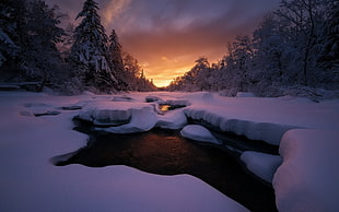 river covered in snow, nature, landscape, sunset, cold HD wallpaper