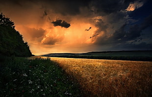 shore beside mountain during golden hour digital wallpaper, field, wildflowers, clouds, hills