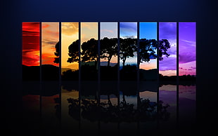 multicolored silhouette tree art HD wallpaper
