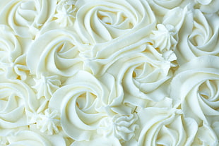 white flowers HD wallpaper