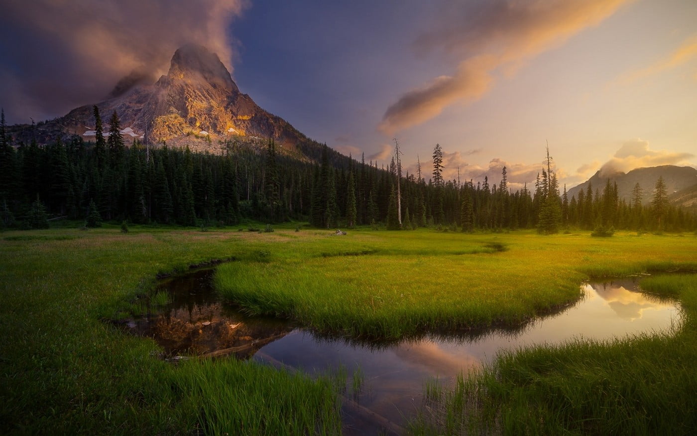 green grasses and mountain ranges, landscape, nature, sunset, forest