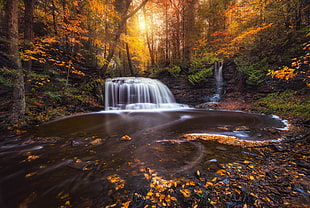 waterfalls at daytime, photography, nature, landscape, fall HD wallpaper