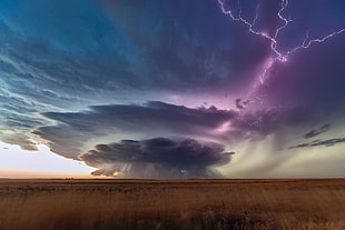 field of grass and clouds, nature, landscape, storm, plains