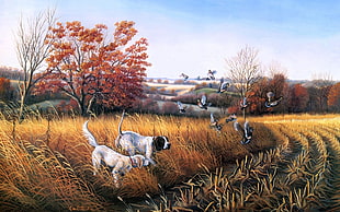 dogs on grass painting, dog, birds, landscape, fall HD wallpaper